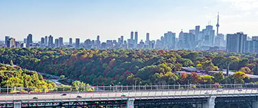 The Toronto city skyline and CN Tower visible behind a bridge and a forest with colorful fall foliage.