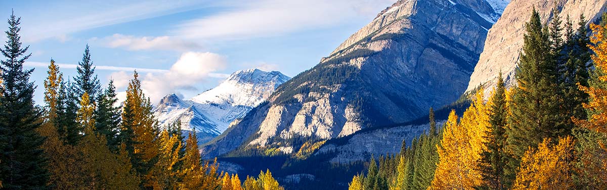 mountain set behind a vibrant forest of green and yellow trees